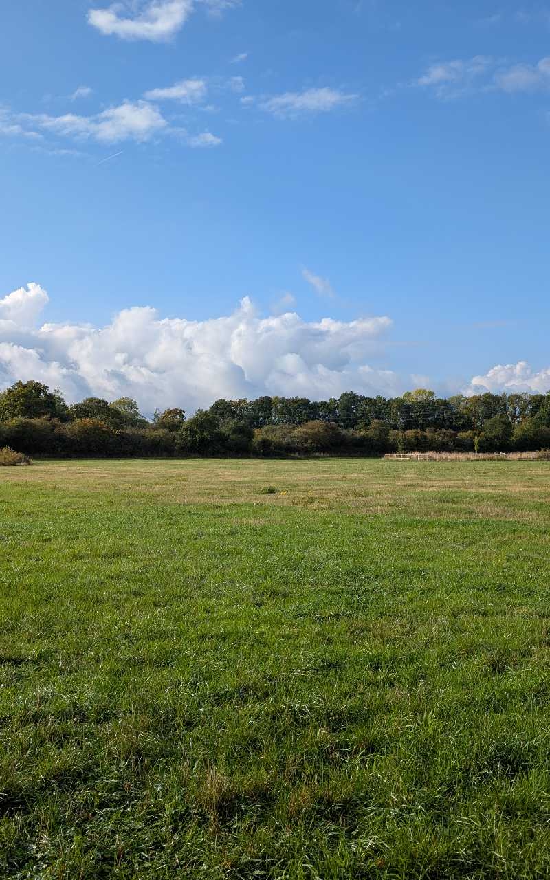 Walk around Ash Green Meadows