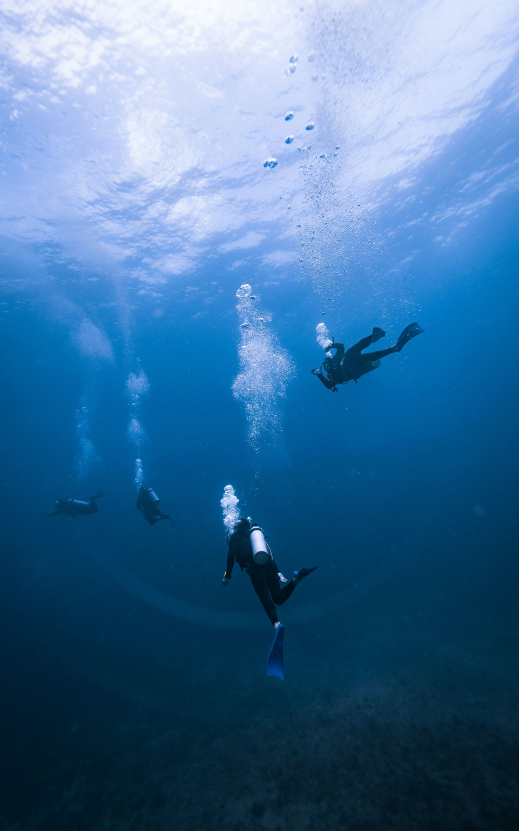 Diving adventure