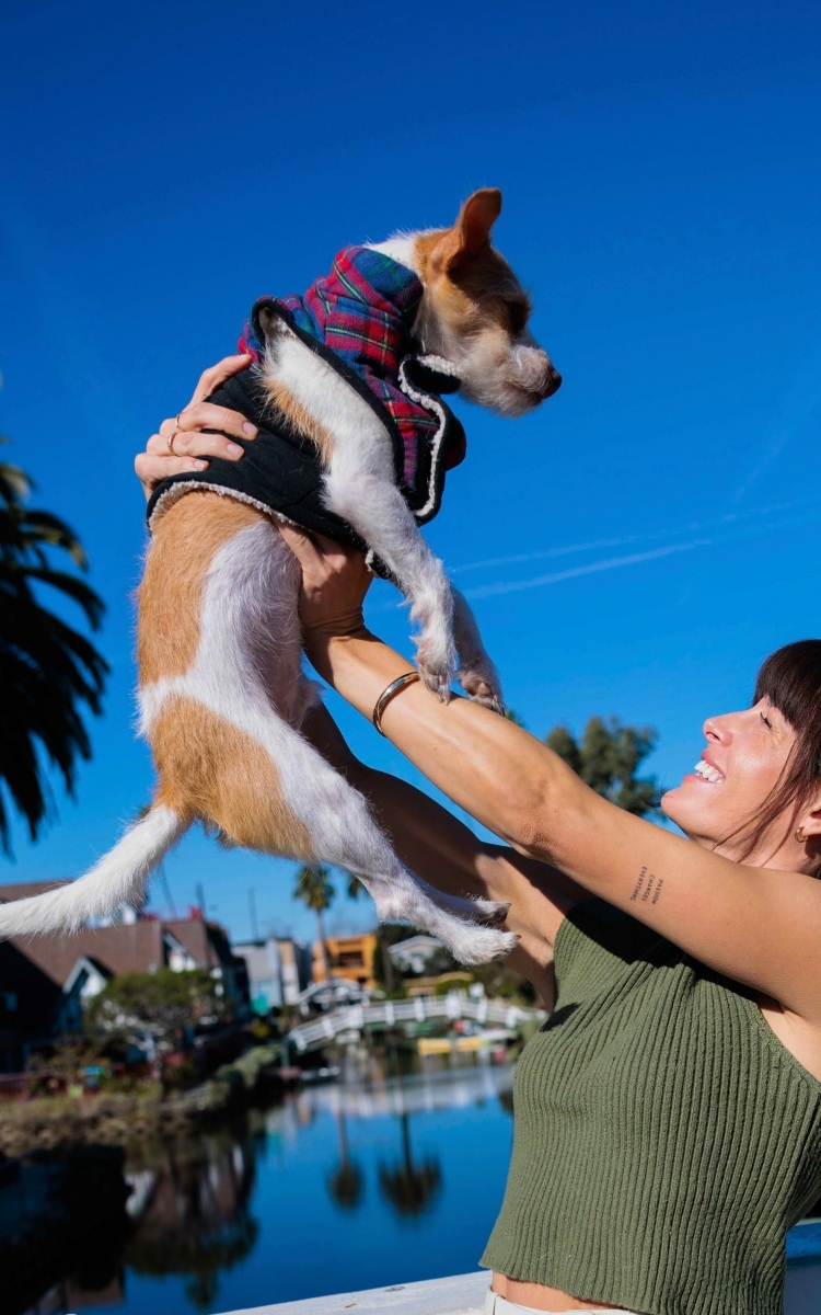 Let’s take our puppies on a walk