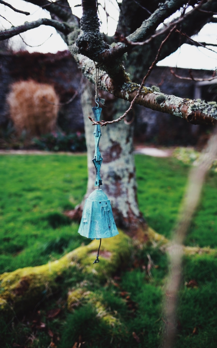 Explore Epping Forest