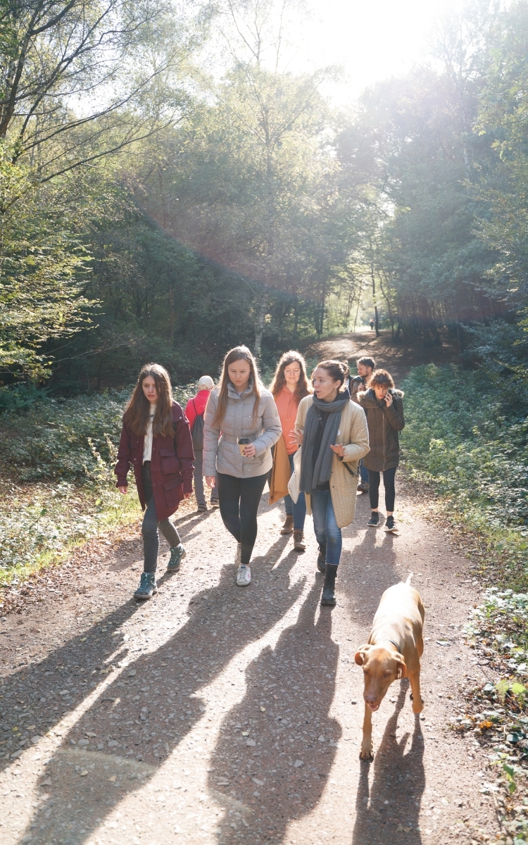 Walk and talk