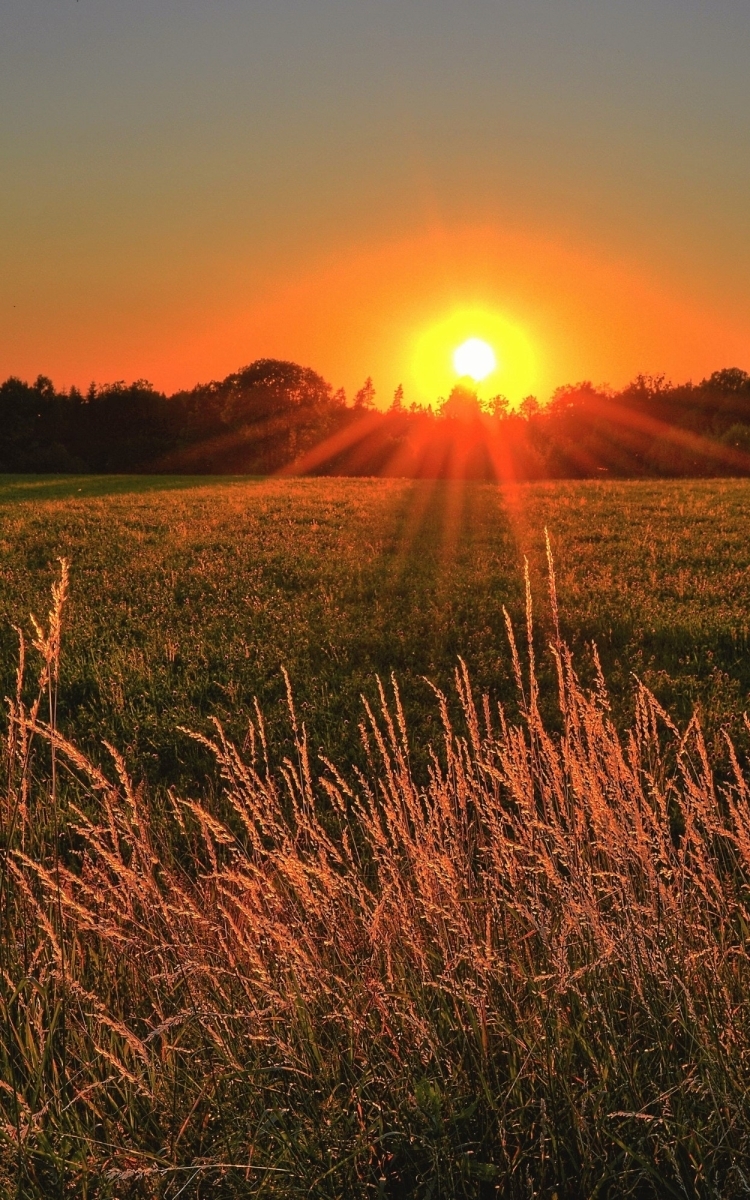 Sunrise or Sunset Photo Walk