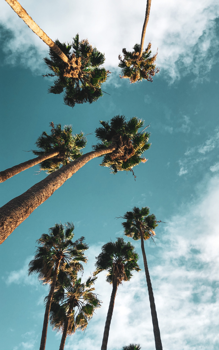 I am new in in LA, show me around