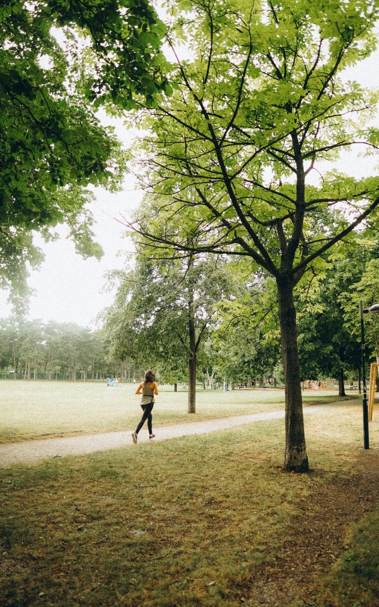 Park run