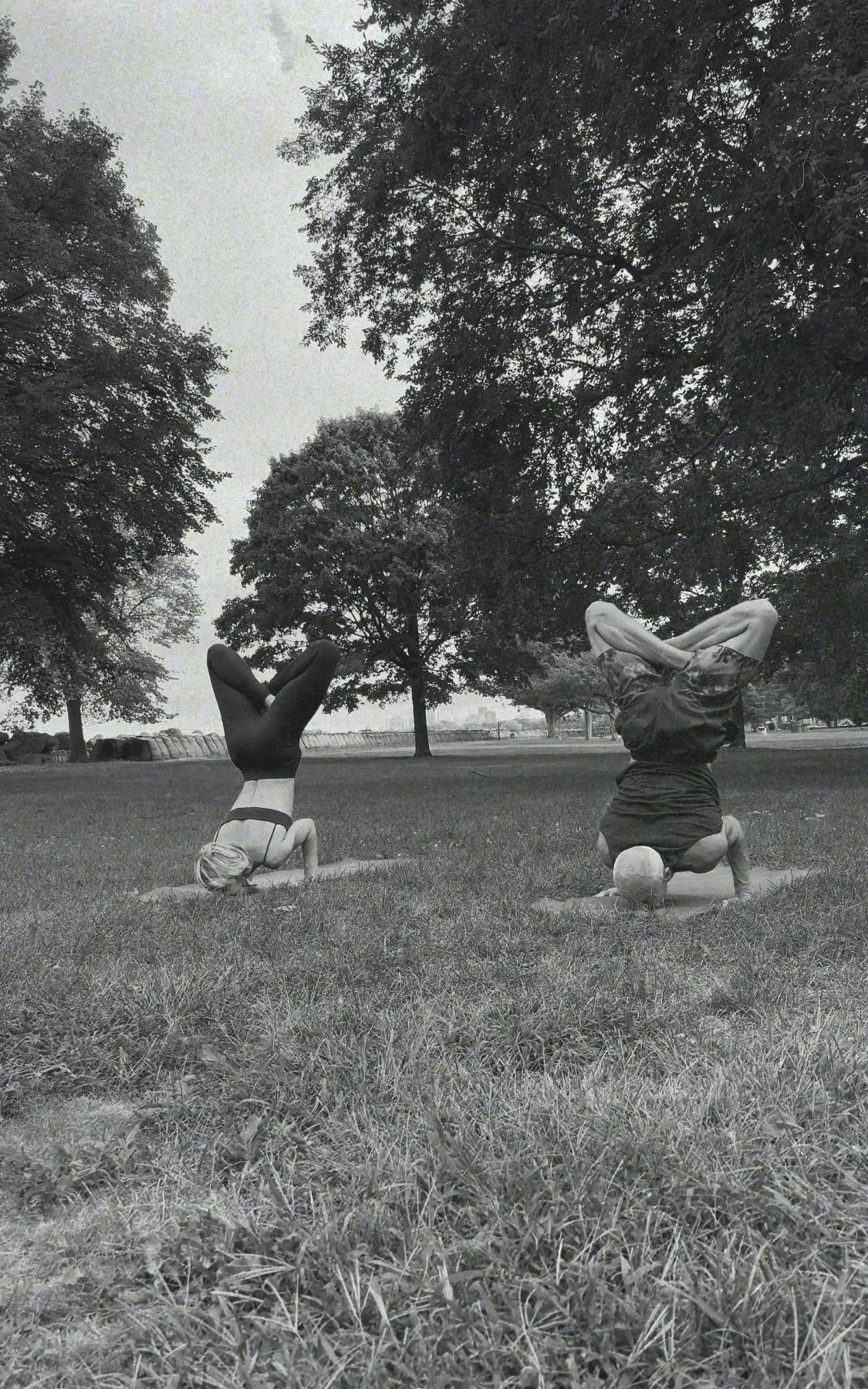 Morning Outdoor Yoga
