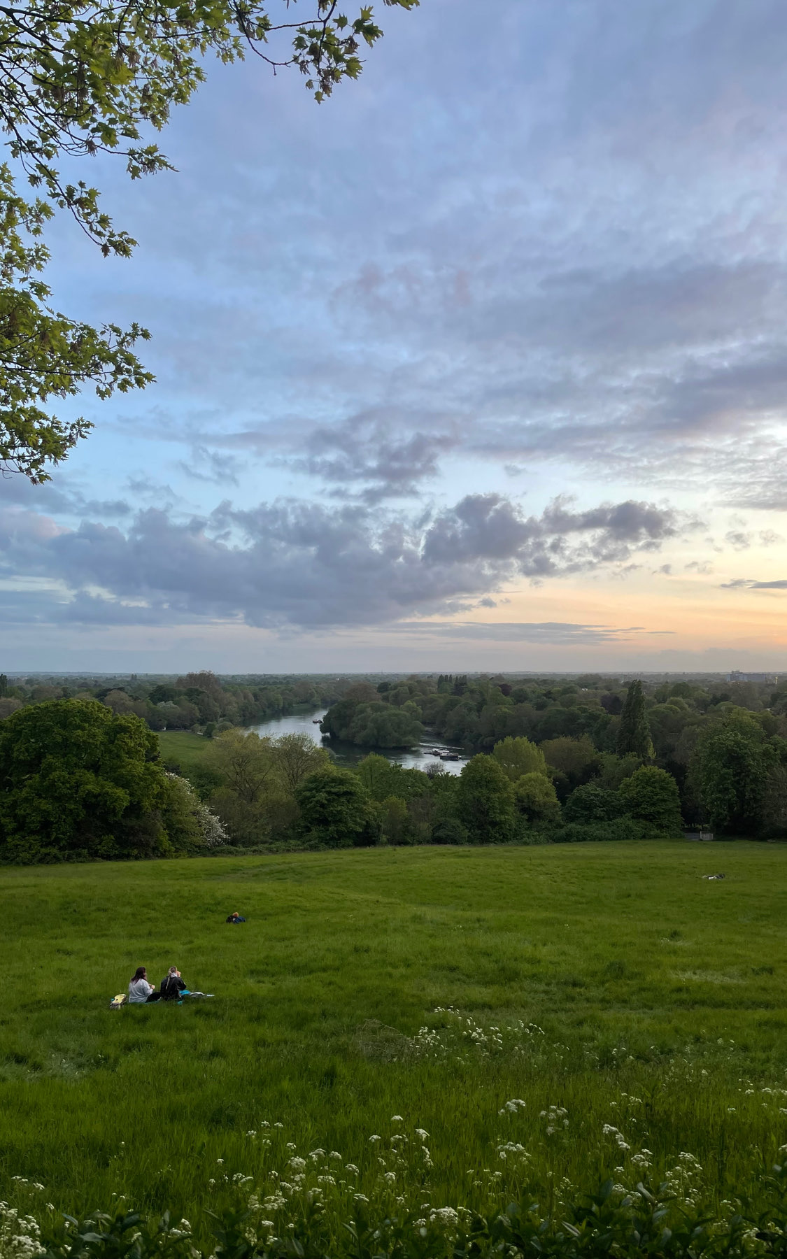 Meetup @richmond hill witnessing sunset