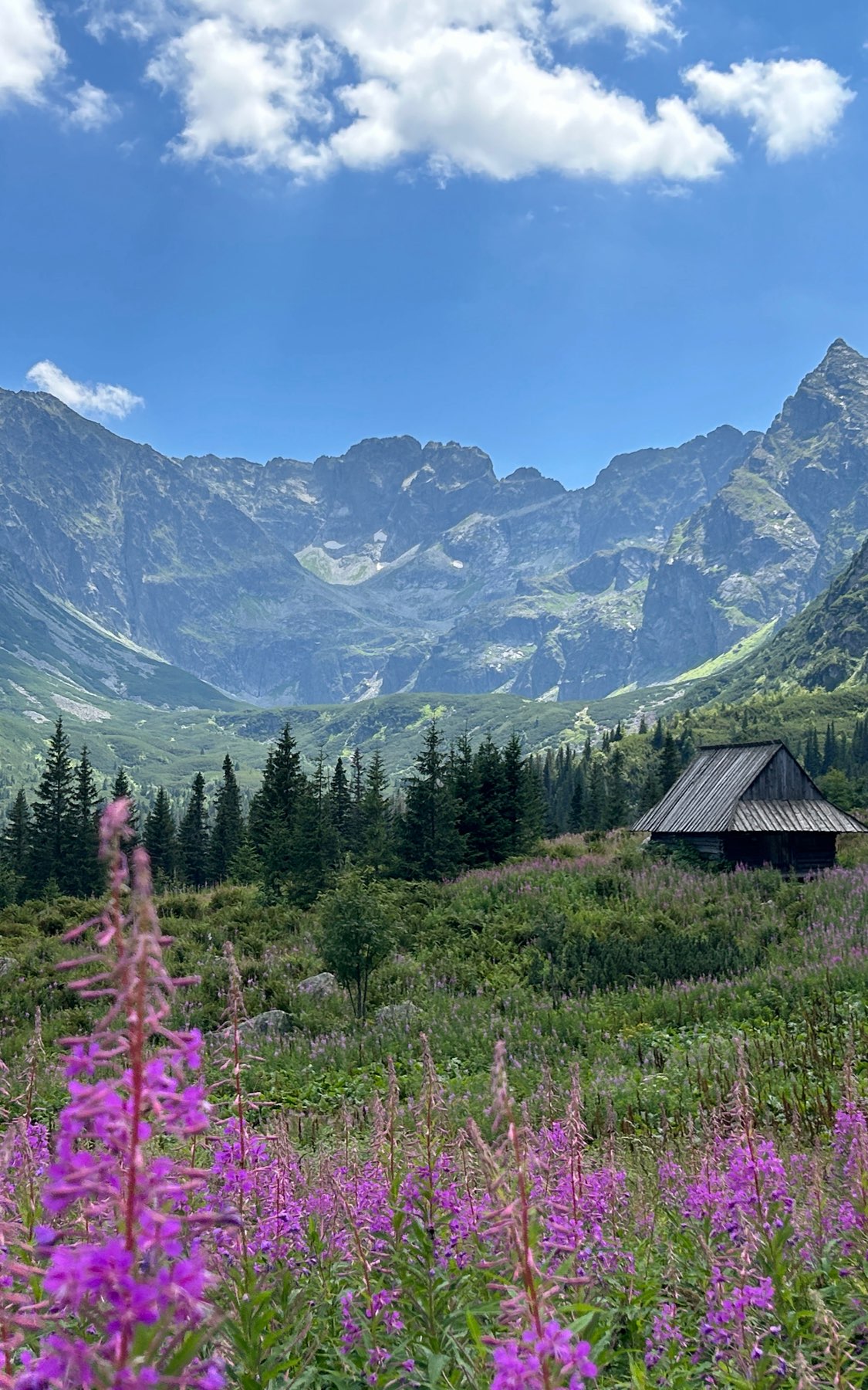 Zakopane and Tatra Mountains 🏔️ Walk and talk