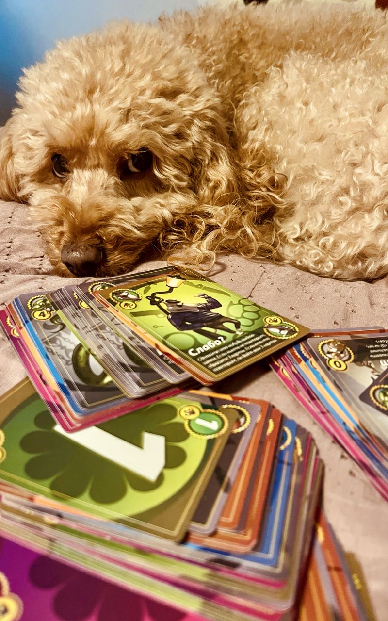 Играем в Свинтус