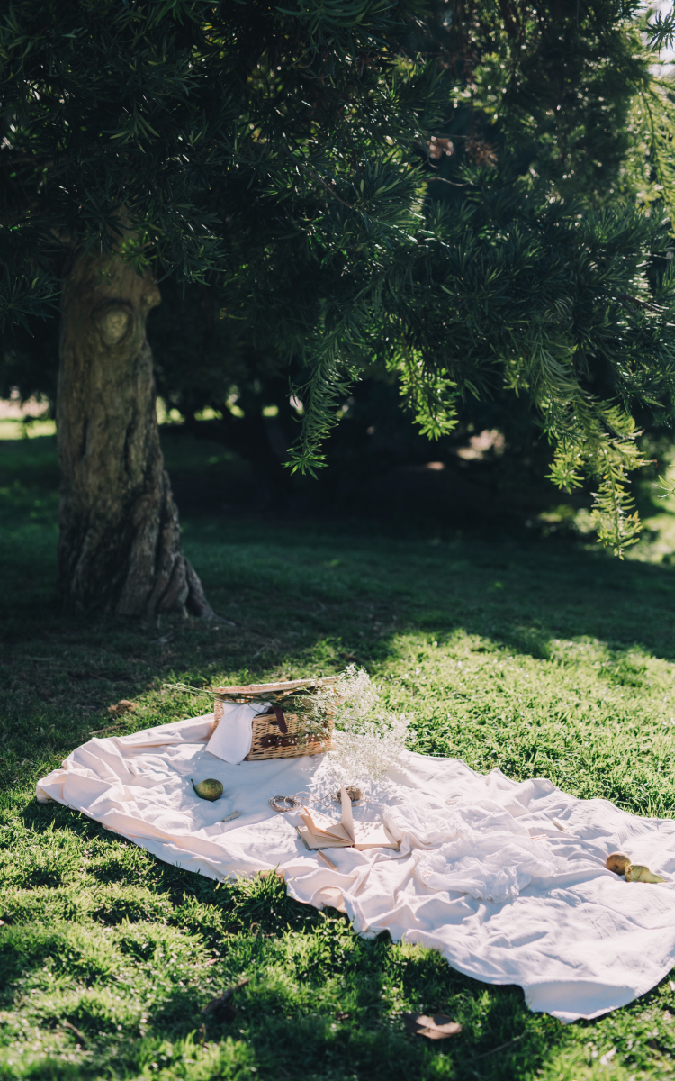Chatty Blanket Picnic
