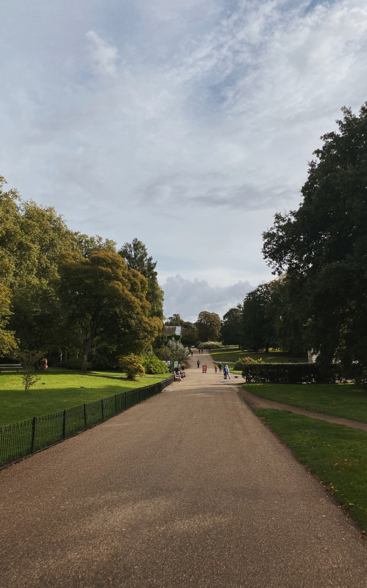 Discover Hyde Park