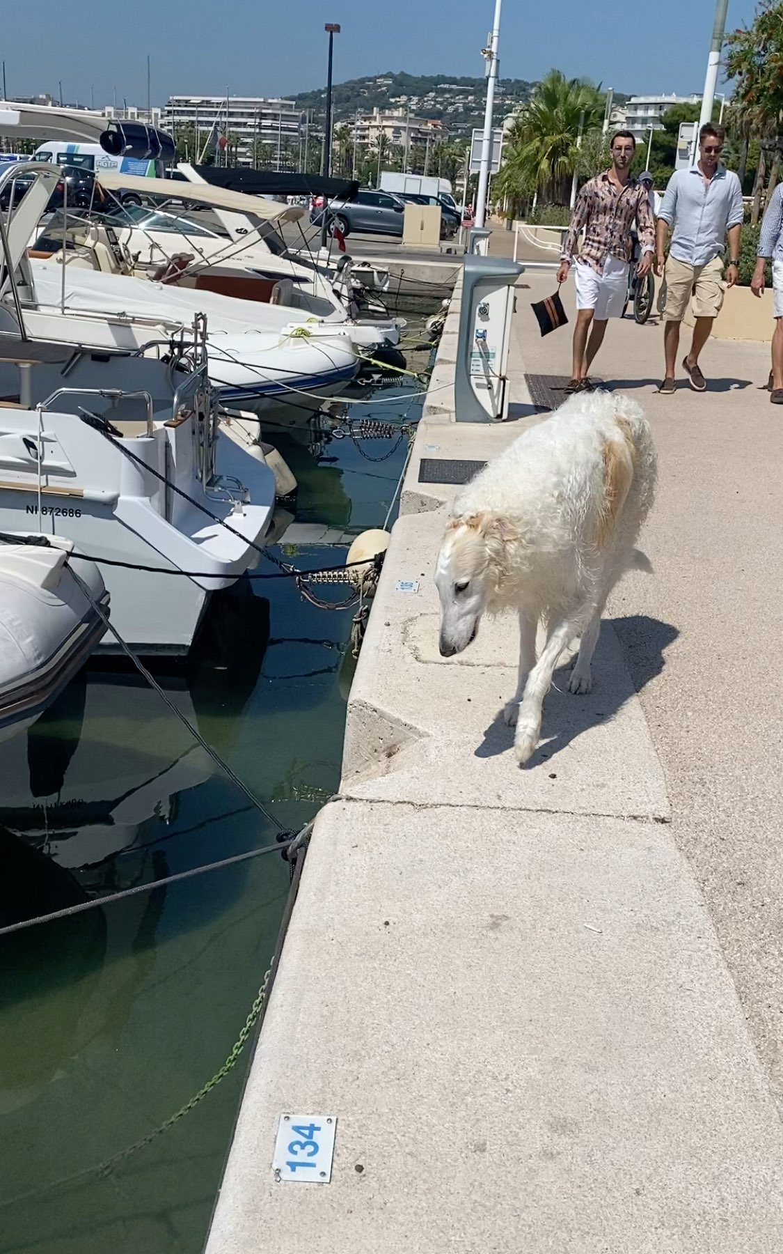 One day with personal captain