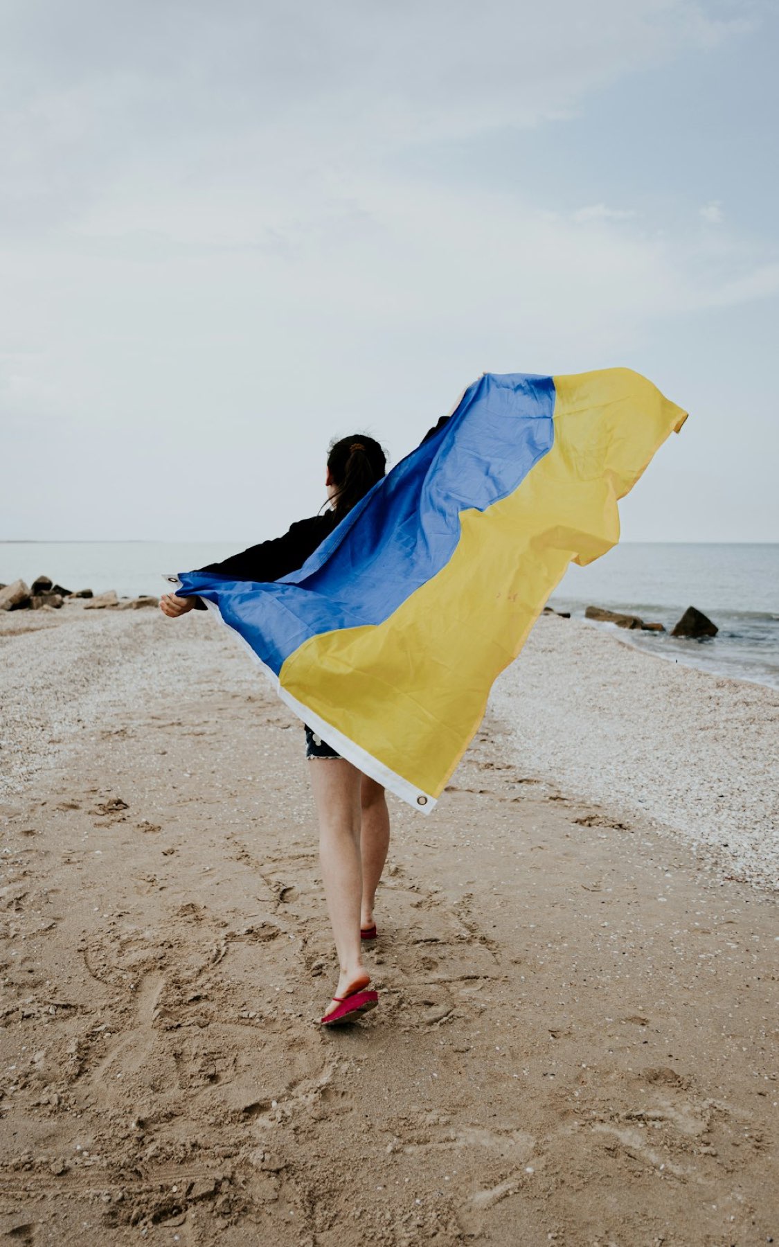 Club cover