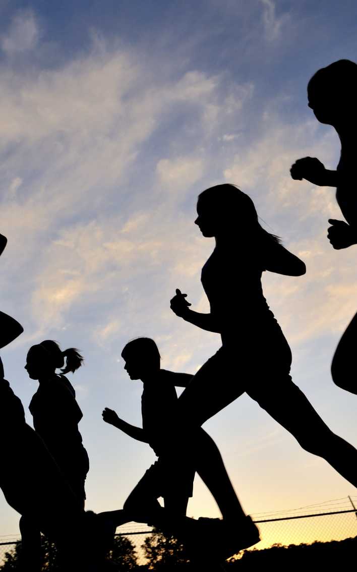 Займёмся спортом вместе