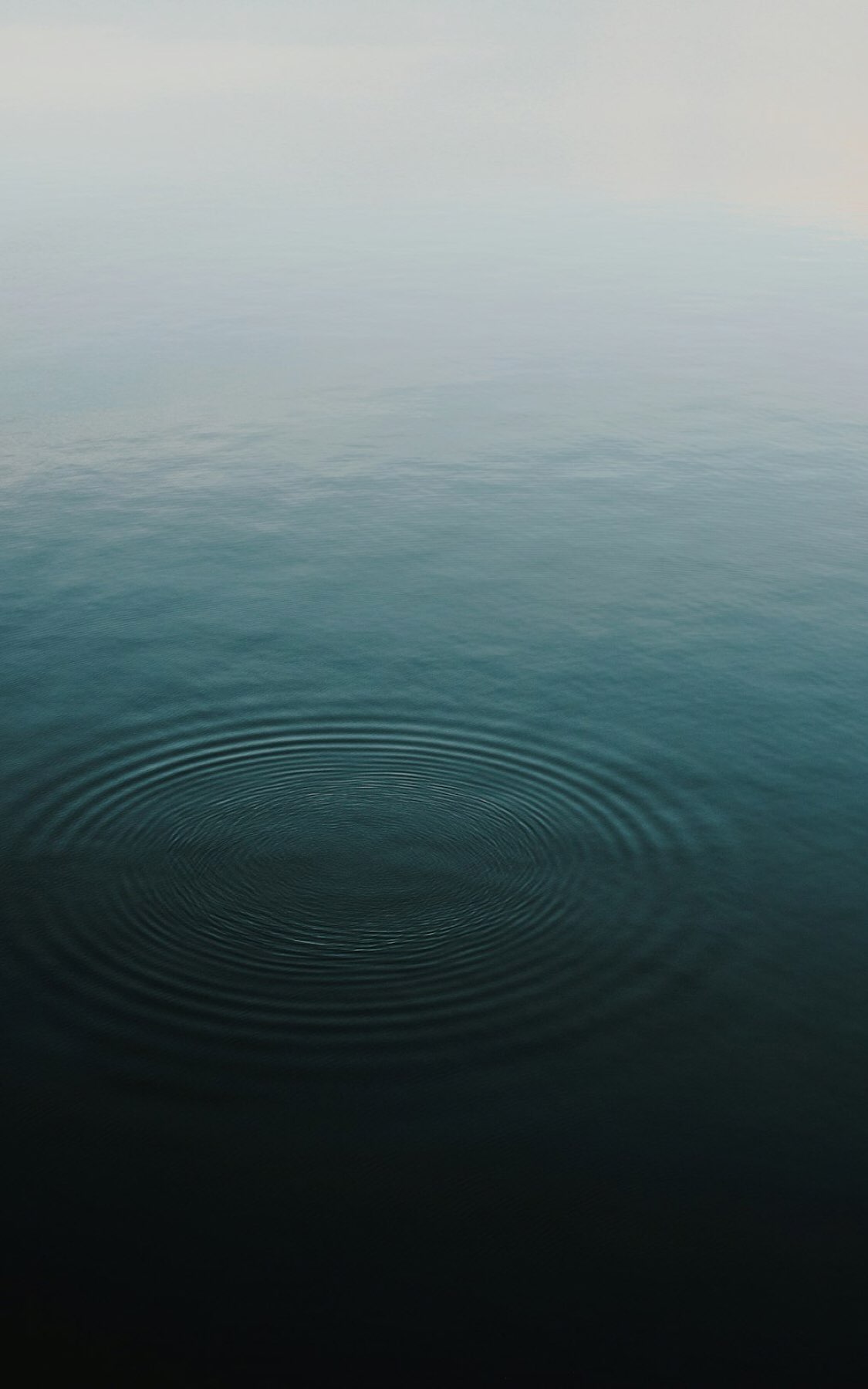 Mindfulness