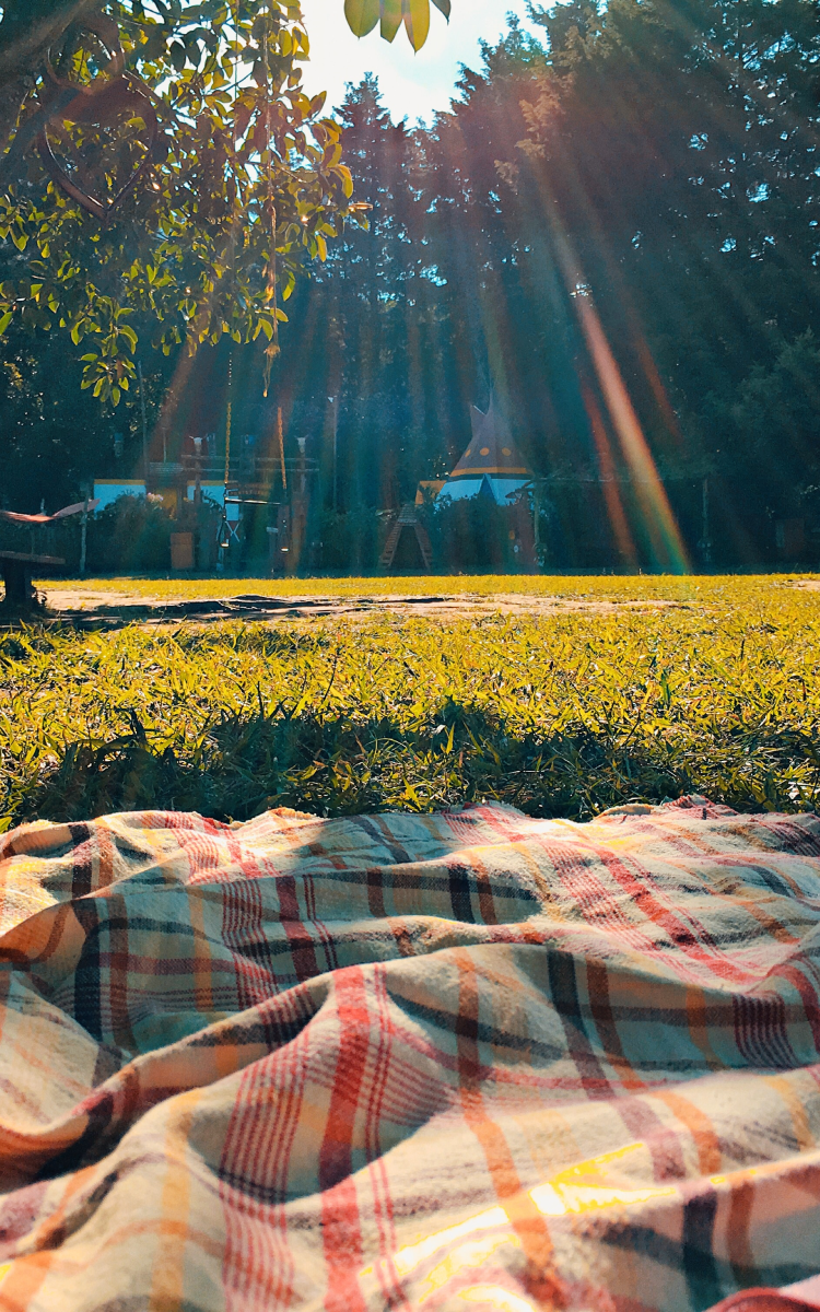 Chatty Blanket Picnic