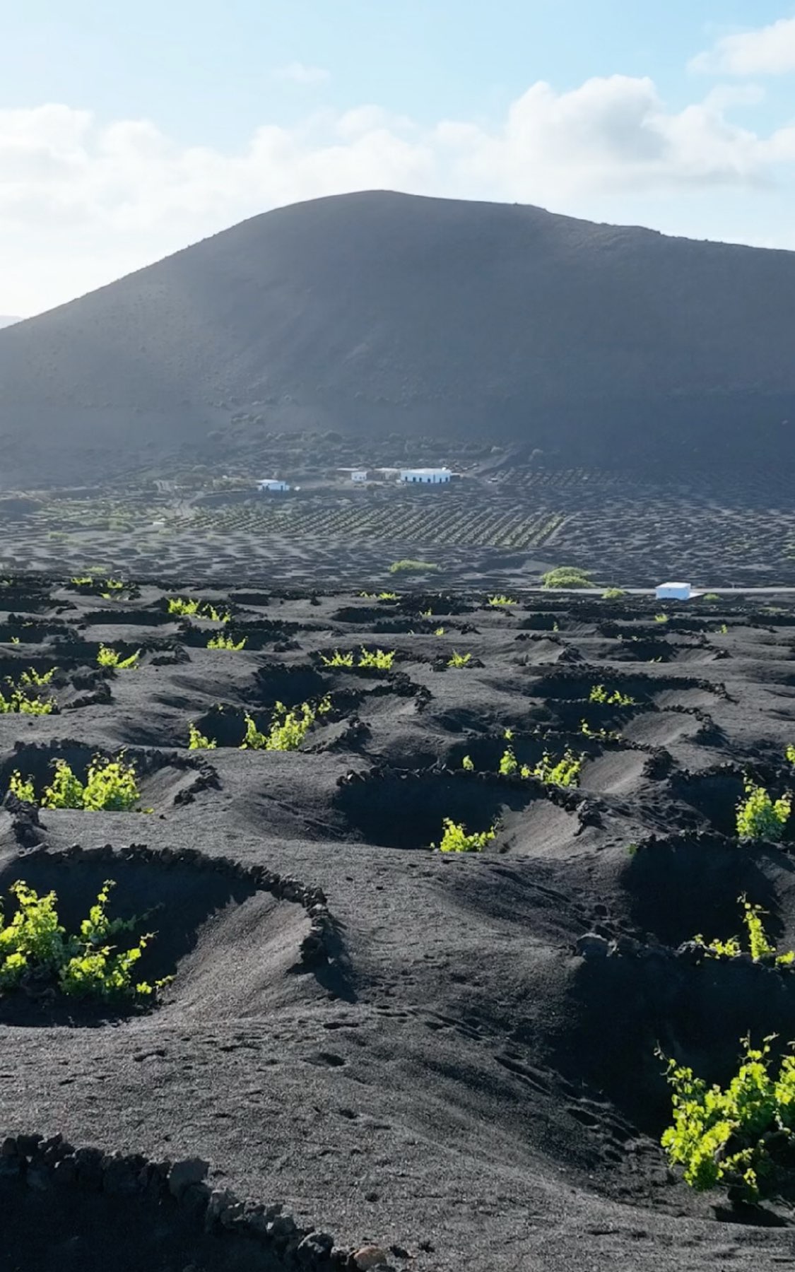Lanzarote – Ocean, Music, Volcanic Wine