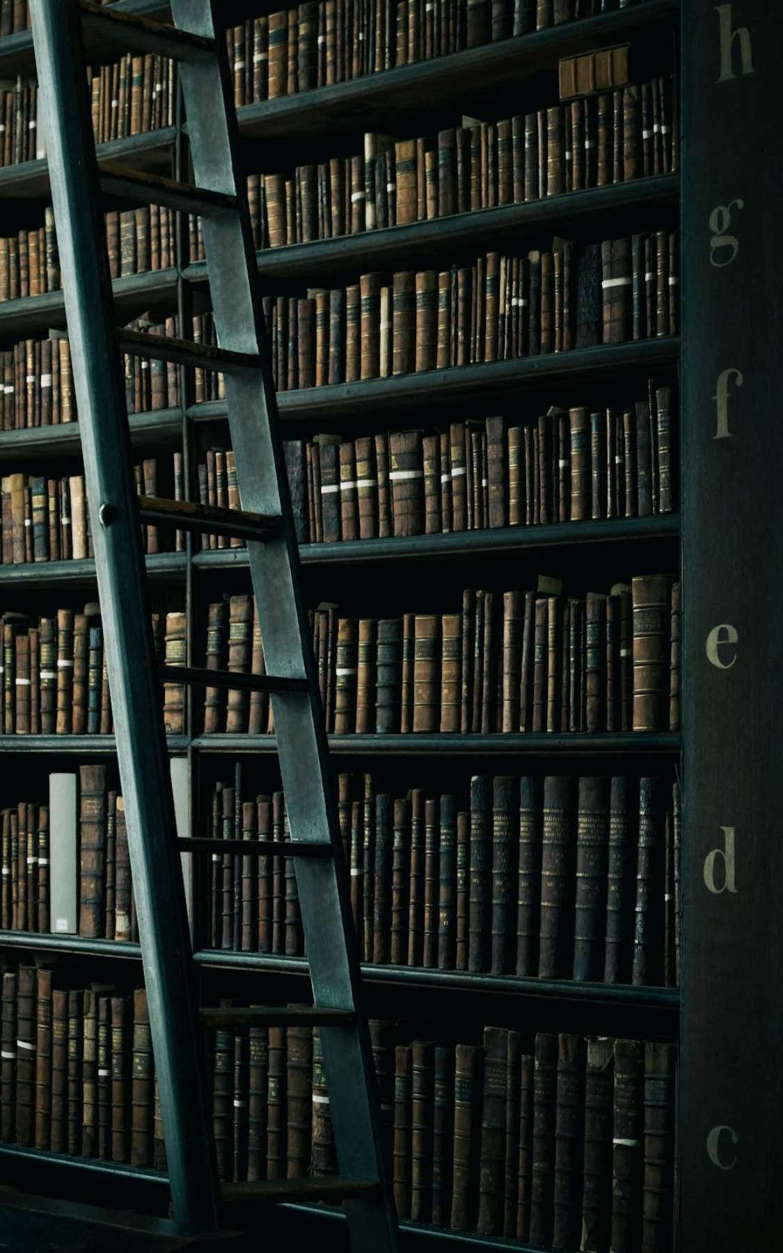 Book Discussions: Thinking in Systems