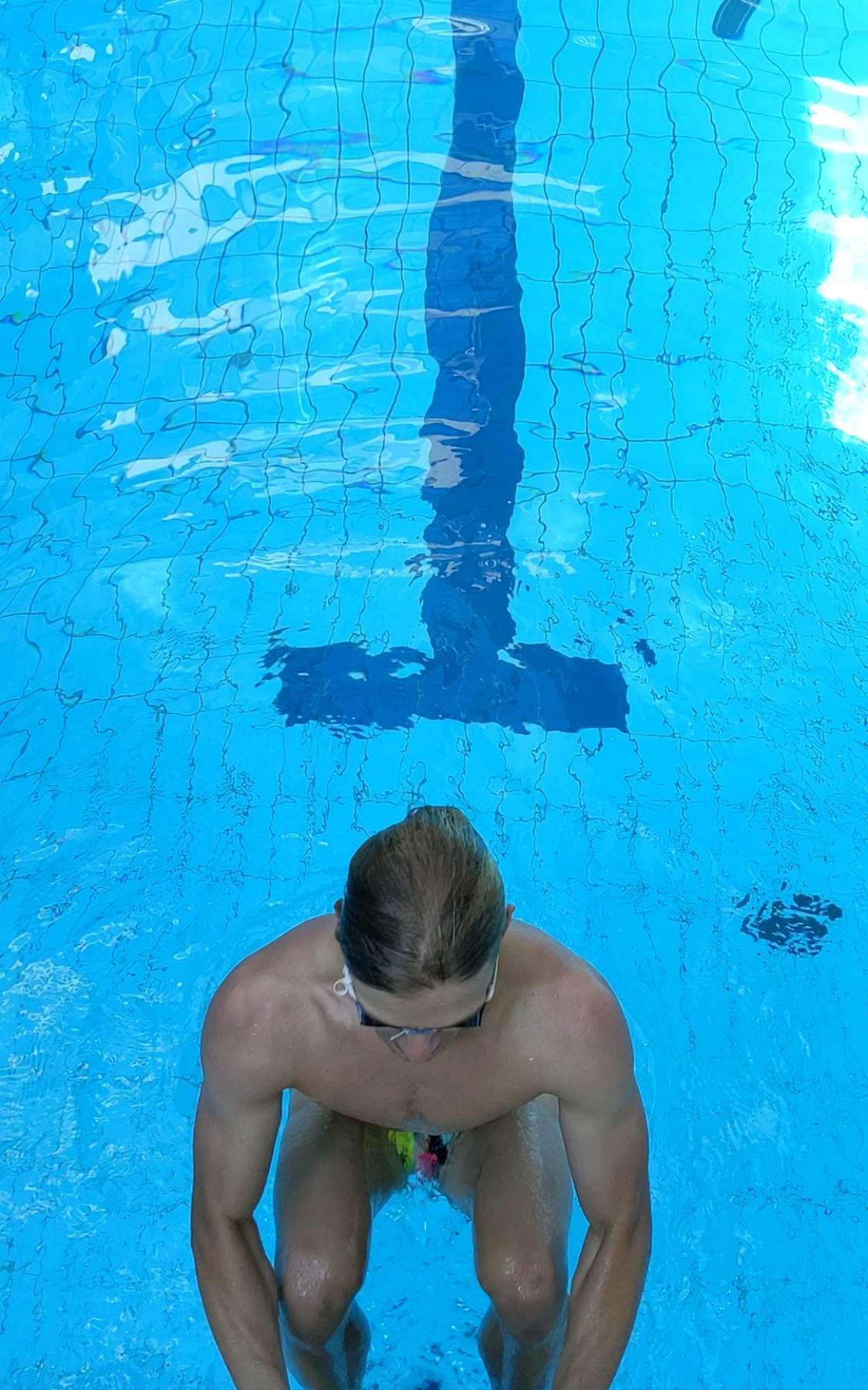Free Swimming Session (9.08 18:00-19:00)