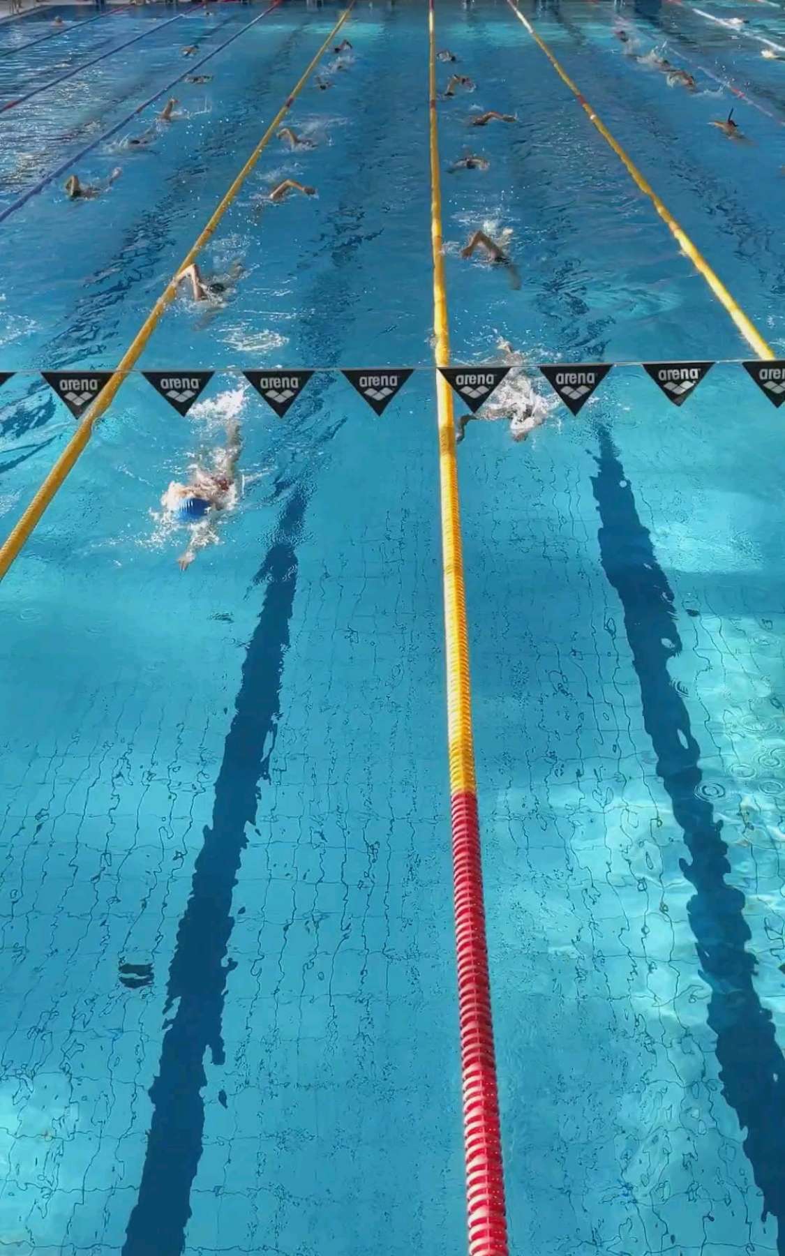 Free Swimming Session (11.08 18:00-19:00)