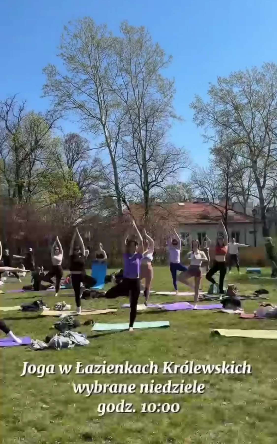 Yoga w Łazienkach Królewskich 2025/09/10
