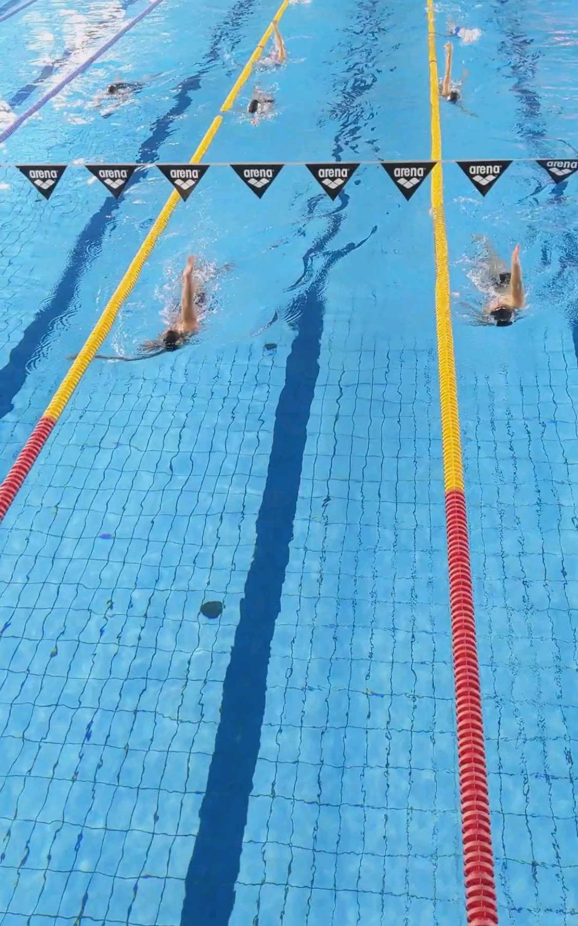 Free Swimming Session (13.08 18:00-19:00)