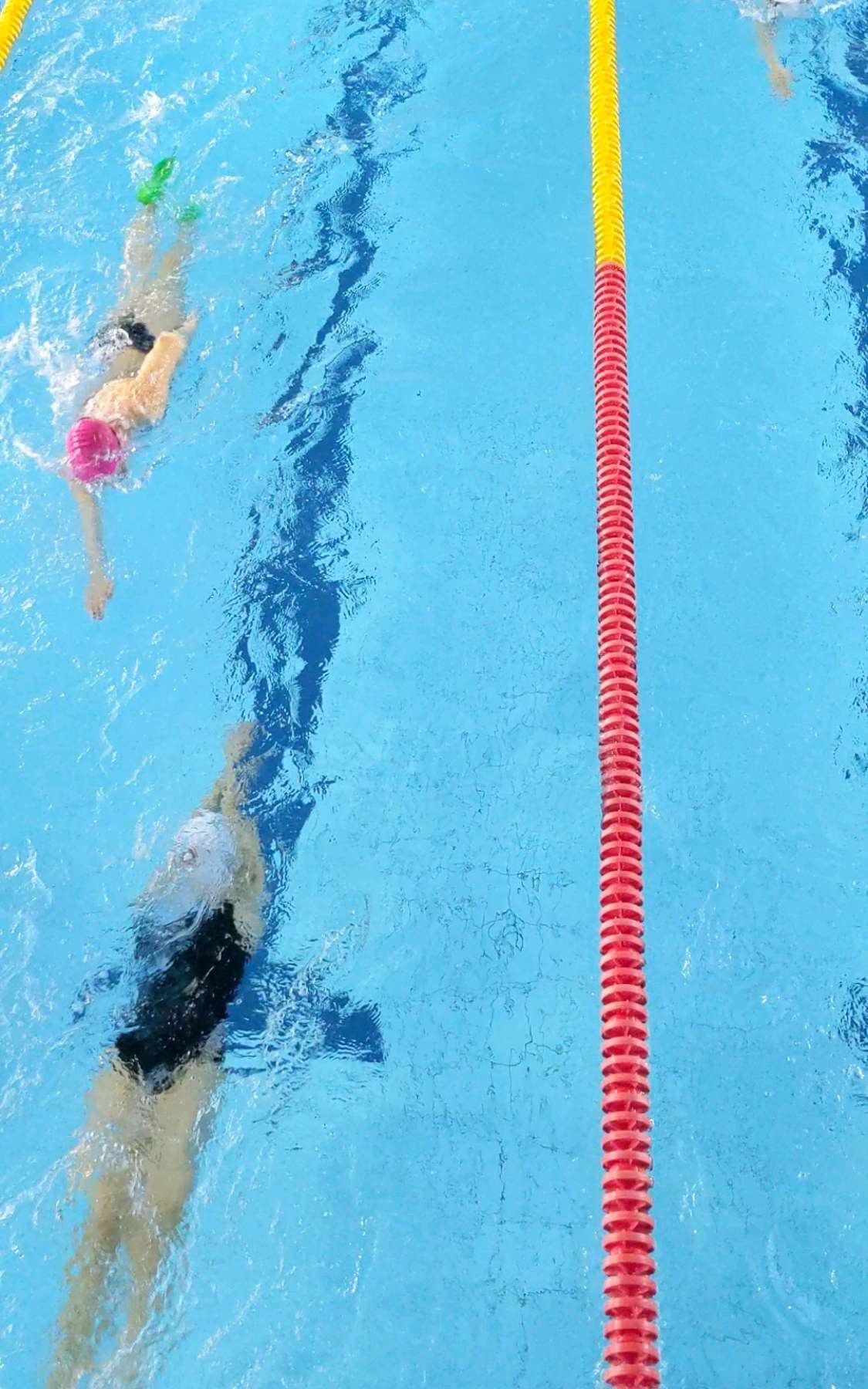 Group swimming at Warszawianka