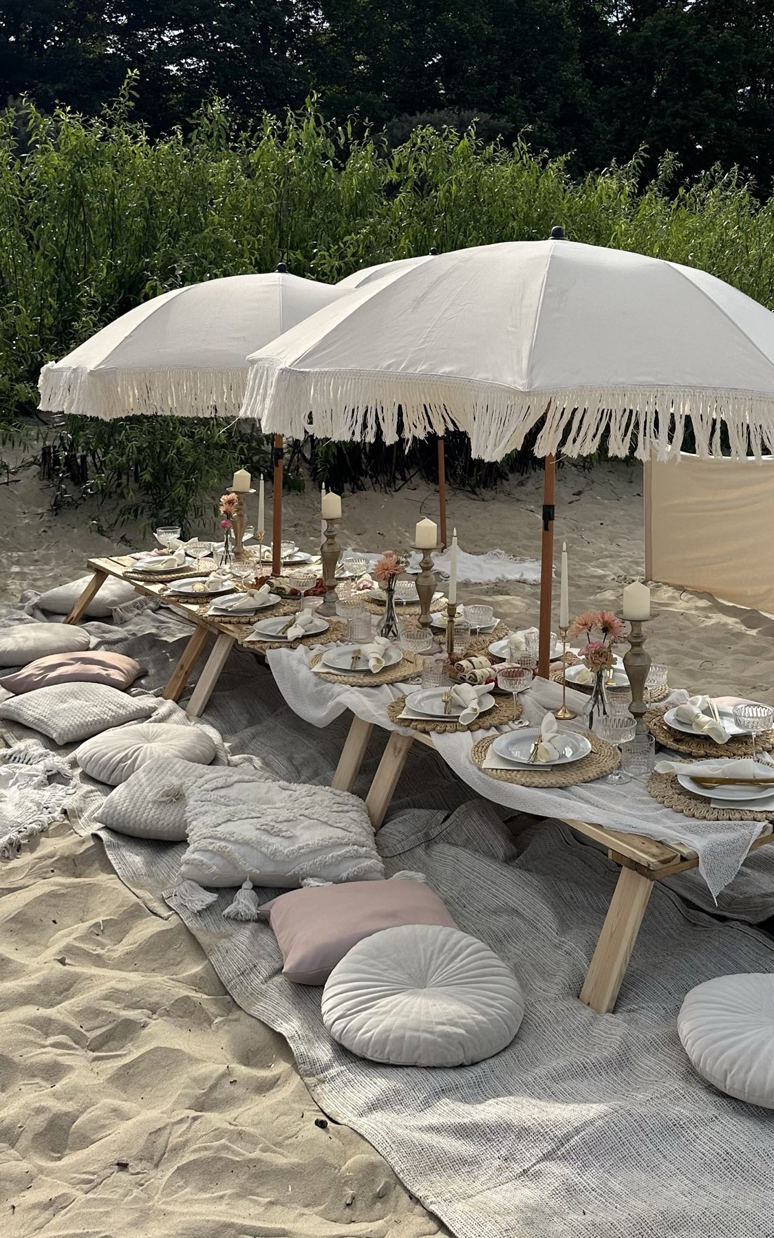 AESTHETIC PICNIC на пляже