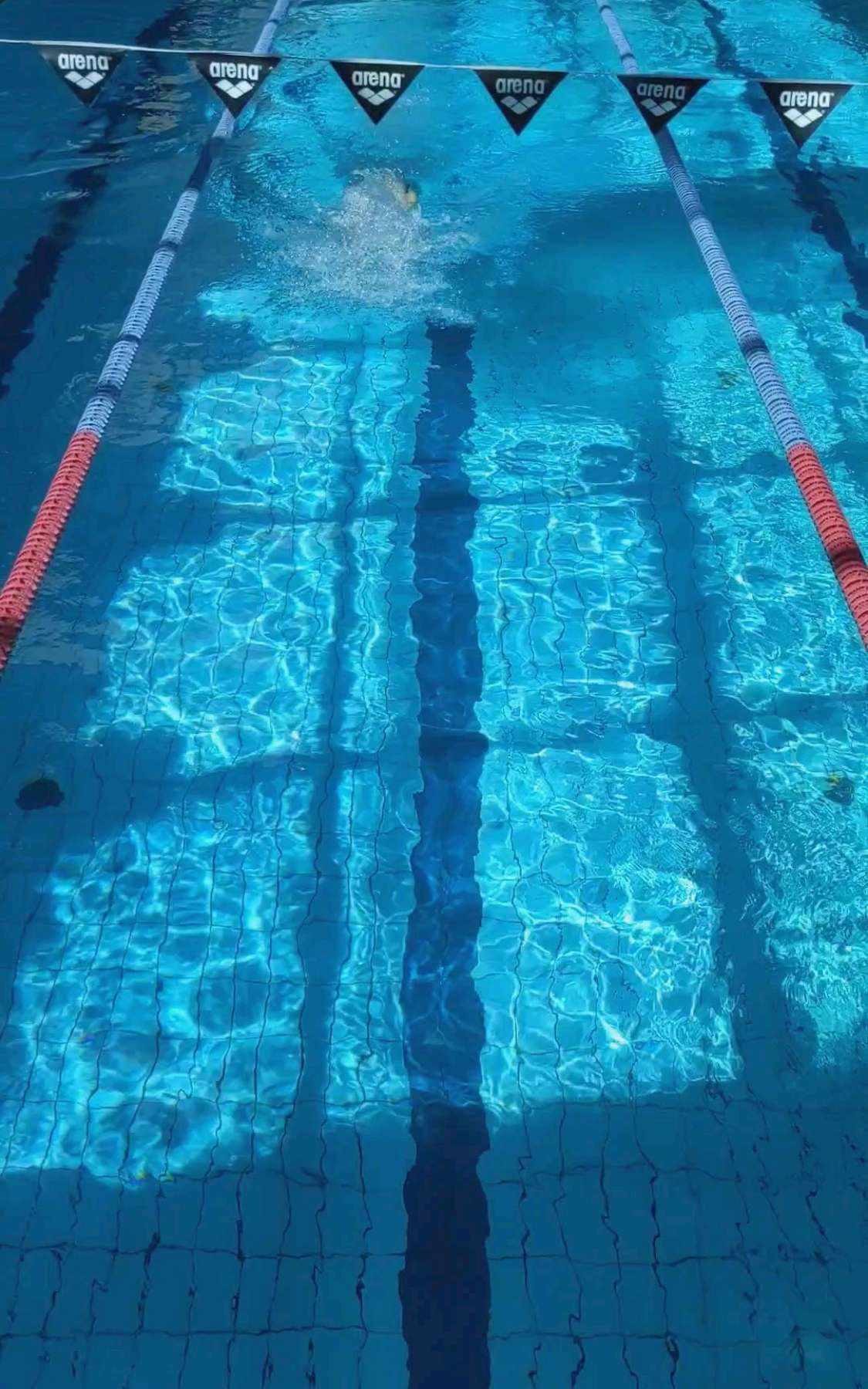 Group swimming at Warszawianka