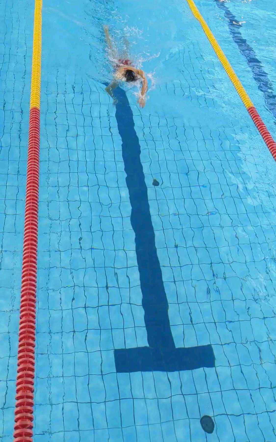 Free Swimming Session (25.08 19:30-20:30)