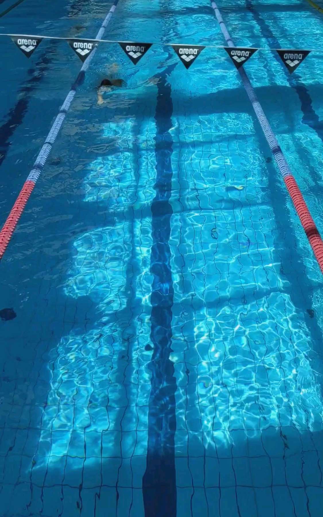 Last Swimming this summer (29.08 19:30-20:30)
