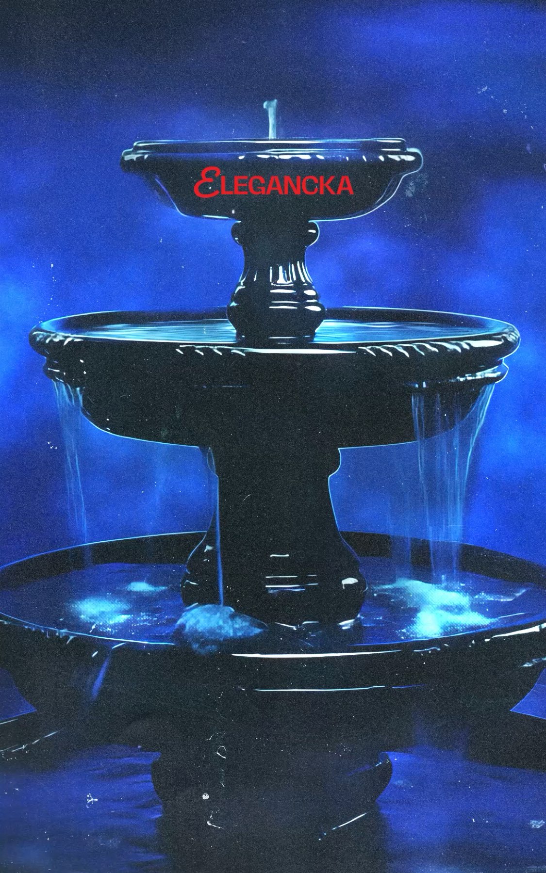ELEGANCKA: вечеринка в историческом месте