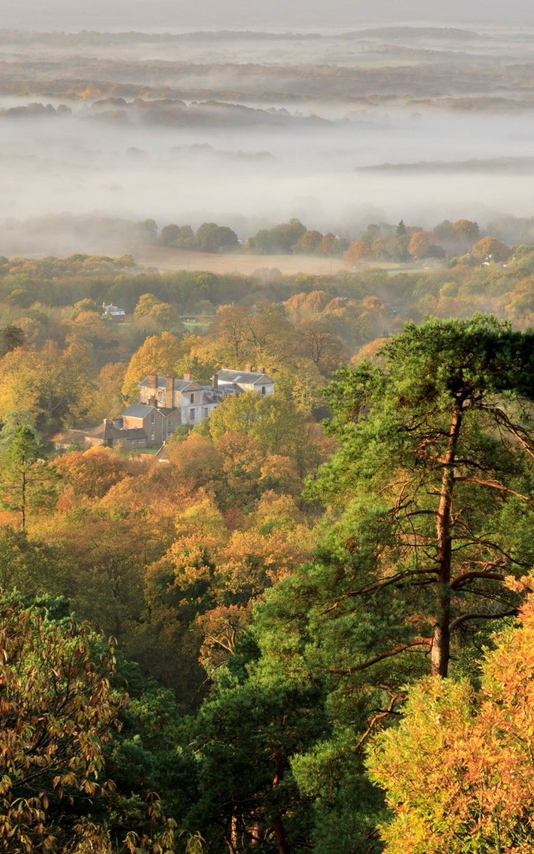 Leith Hill Woodland Ramble👟🍁