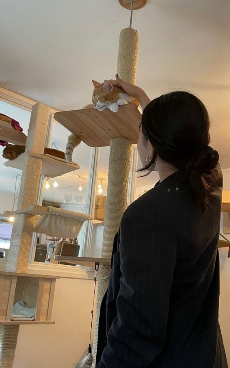 идем в котокафе🐈