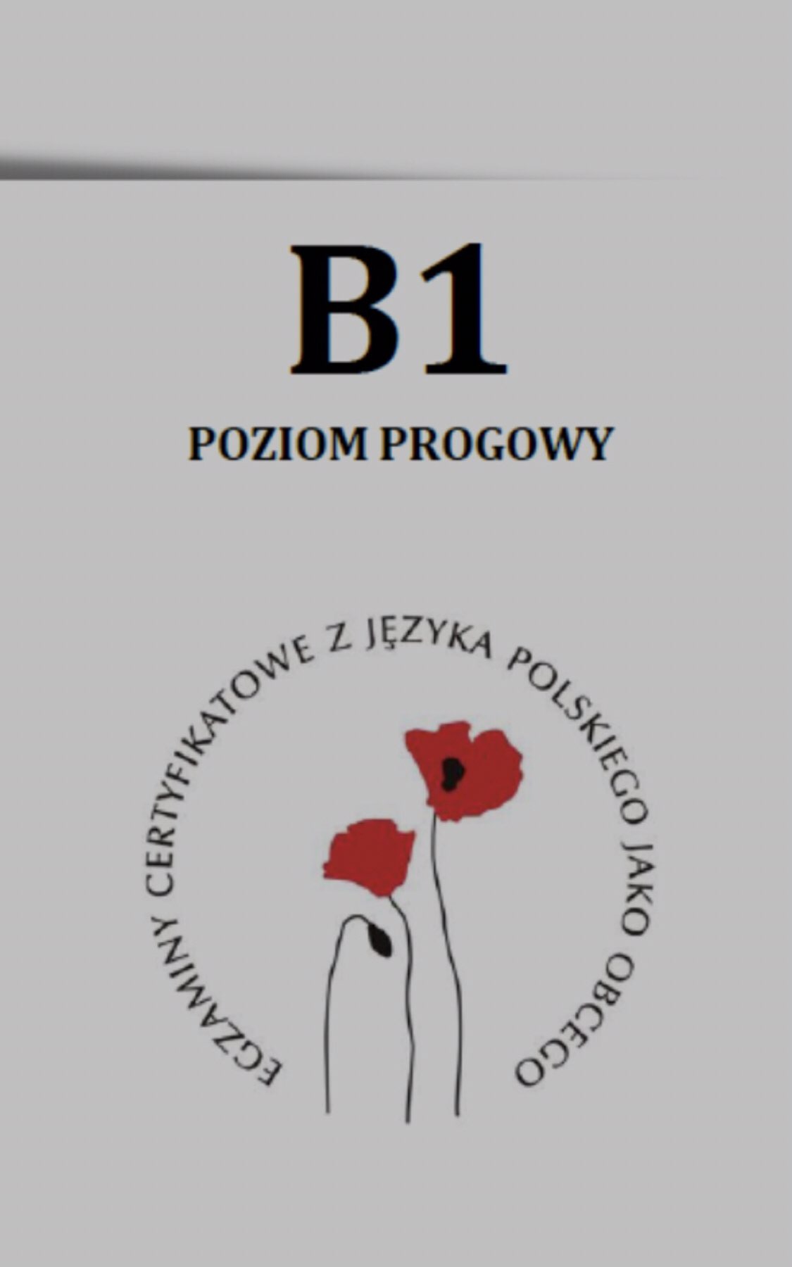 Подготовка к экзамену по польскому ( 15-16.11)