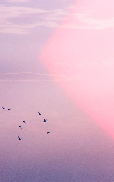 Психология в кафе: поговорим про отношения