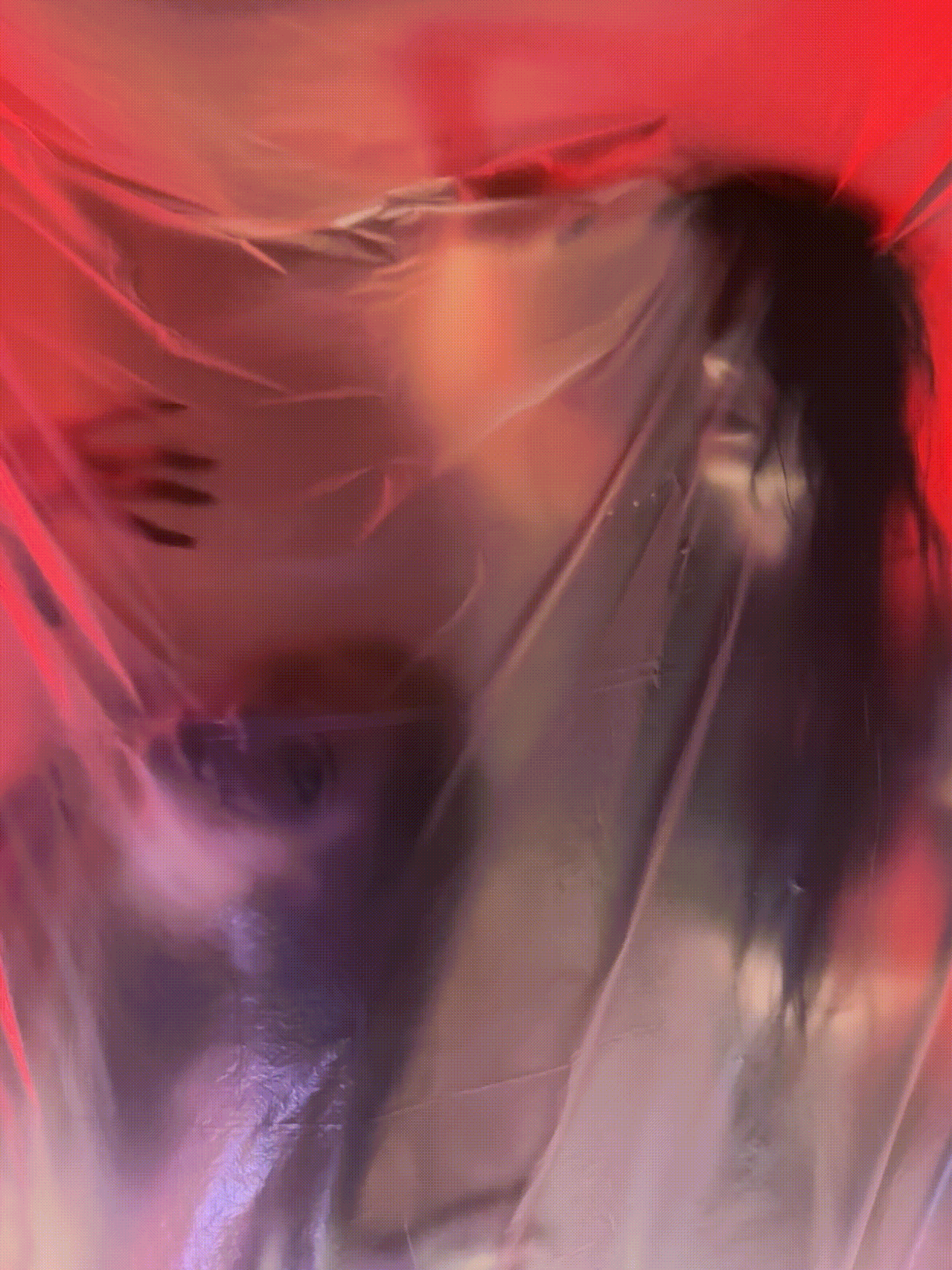 Norm Halloween pre-party