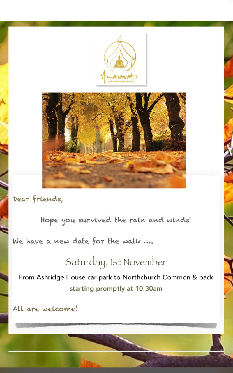 Hike Around Buddhist Monastery