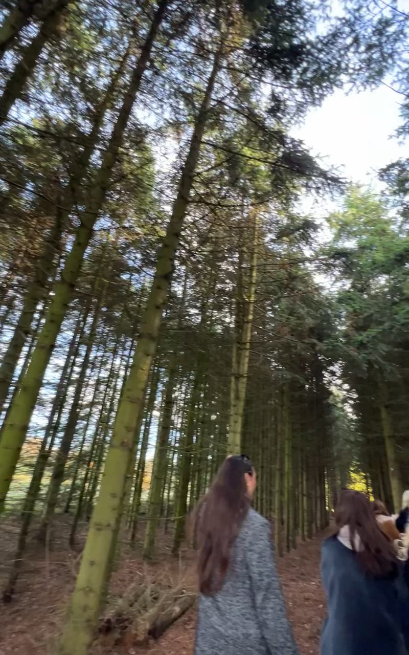 Winter Solstice Gathering (Sold Out)