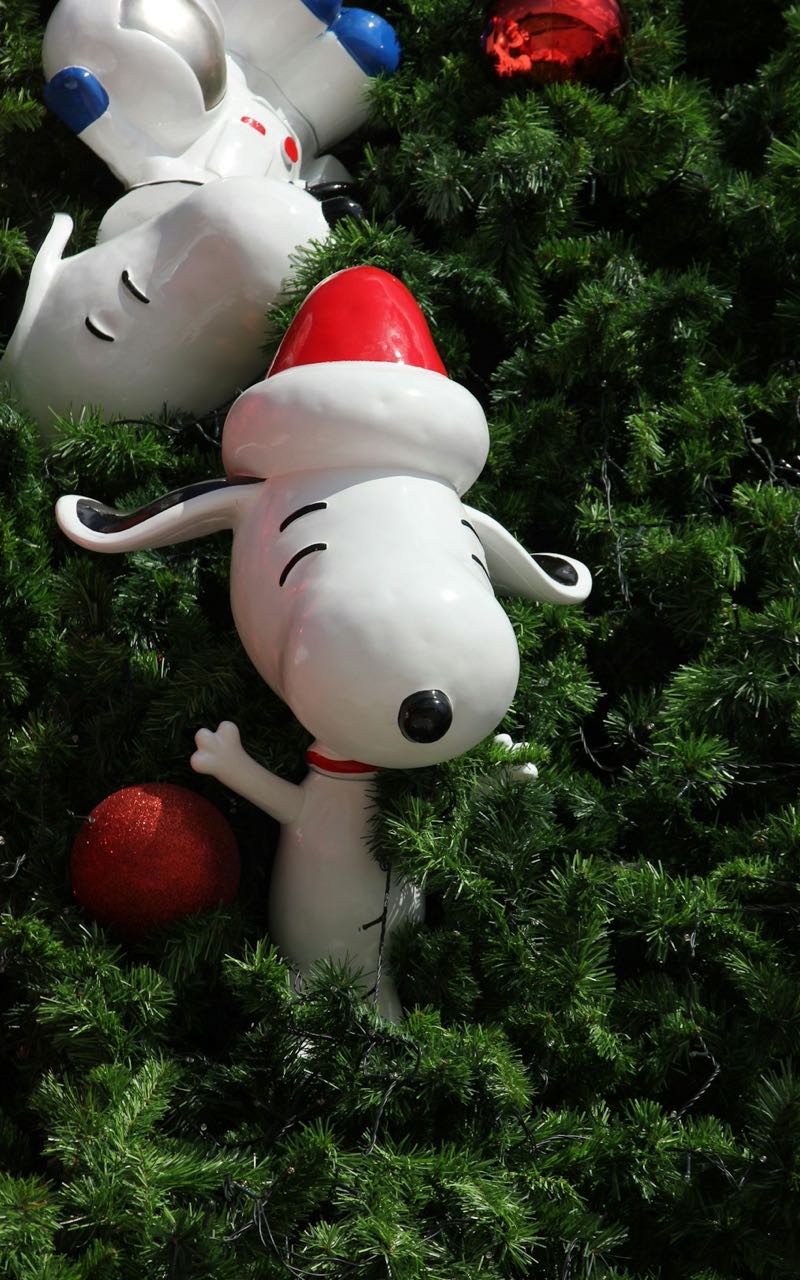 Snoopy in the City