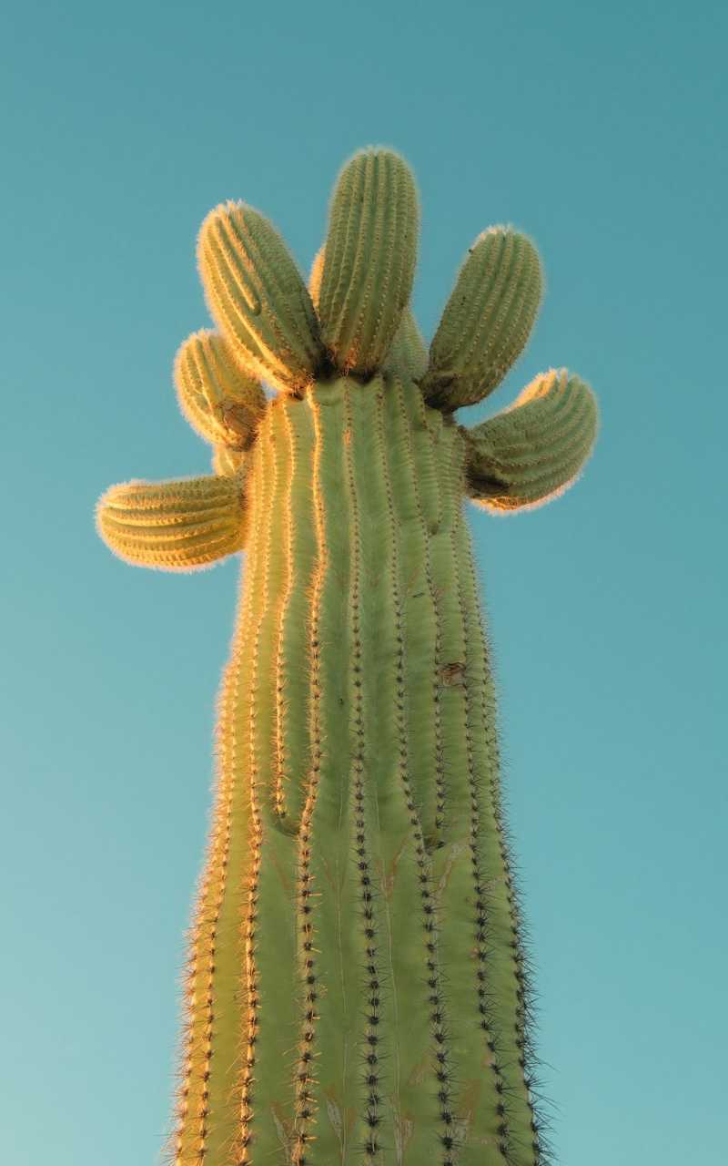 Кофе и разборы с расстановочными фигурками ☕