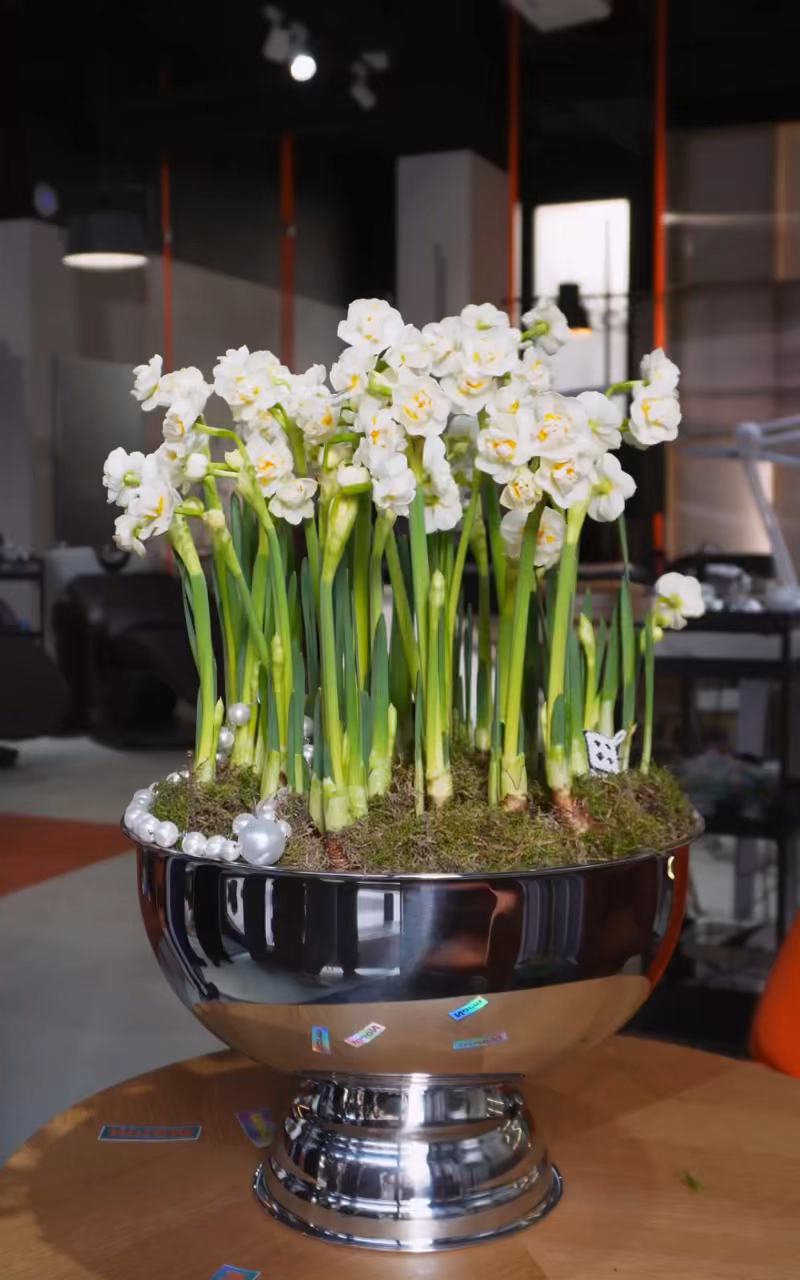 Norm Morning 💛 vol.3 (Pop-up edition)