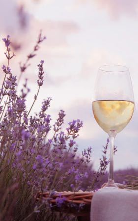 Burgundy wines Welcoming spring!