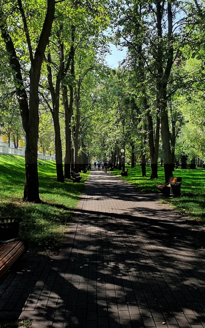 Walk-n-Date—бесплатные двуязычные быстрые свидания