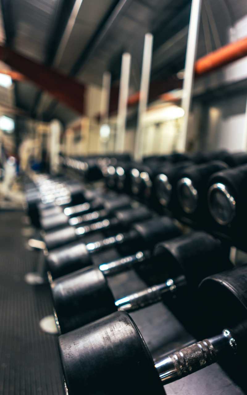 Białołęka gym buddy