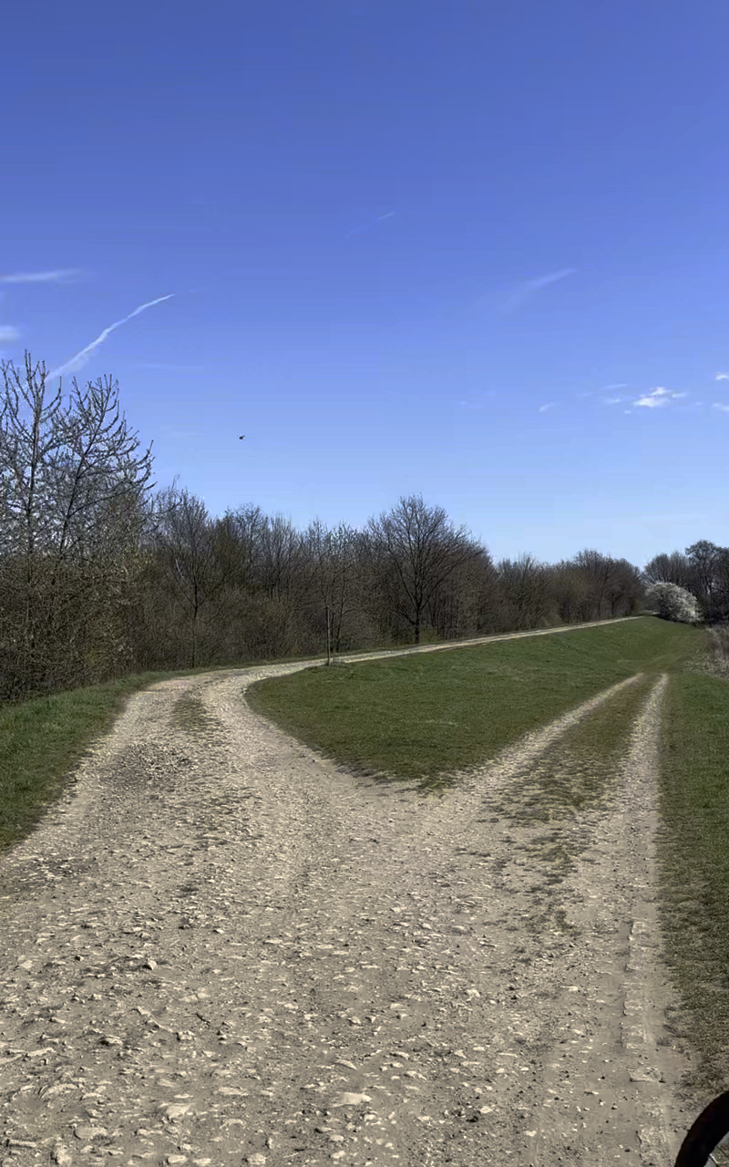 Катаємо на роверах