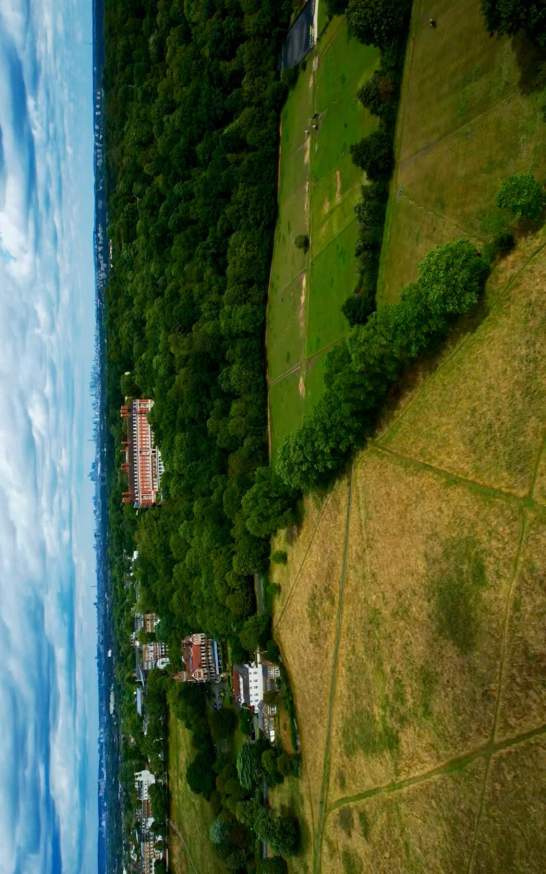 Drone Pilots