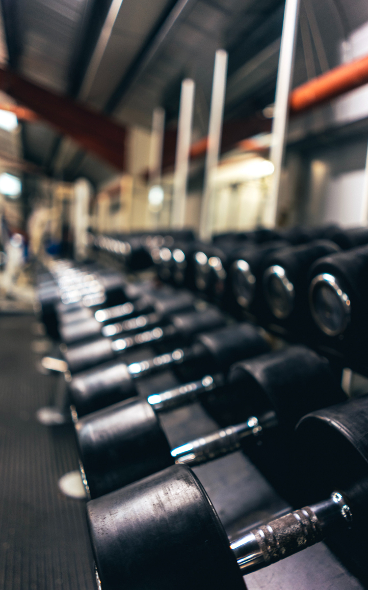 Join me for a workout