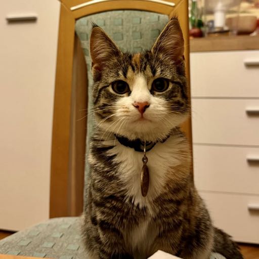 Краківський психологічний клуб