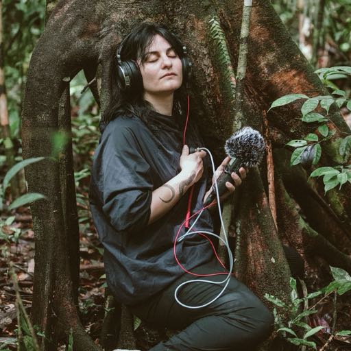 Porous ecologies: immersive sound from the Amazon