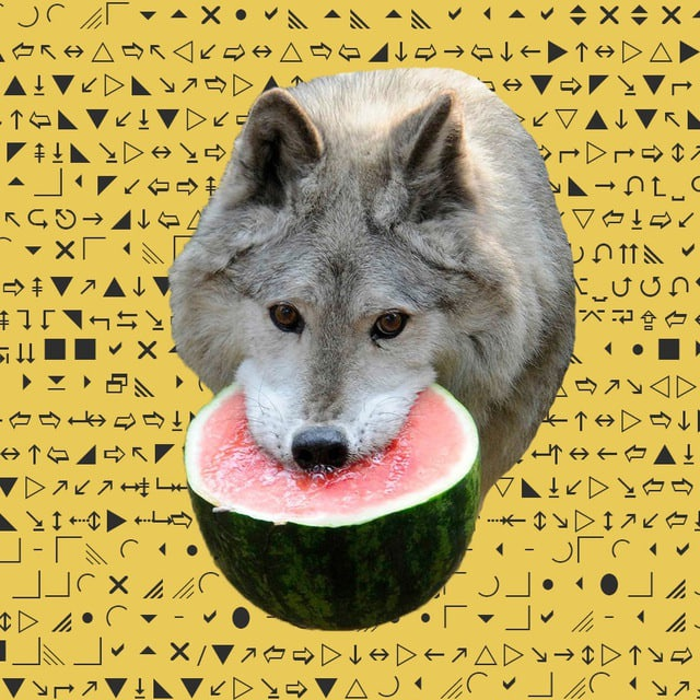 НРИ Варшава